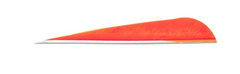 PLUMES - 4" PARABOLIC SOLID COLOR (UNIE) – Image 4