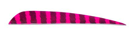 PLUMES - 5" PARABOLIC BARRED COLOR (TIGRÉE) – Image 8