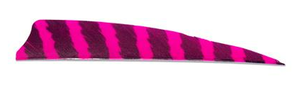 PLUMES - 4" SHIELD BARRED COLOR (TIGRÉE) – Image 9