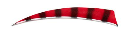 PLUMES - 4" SHIELD BARRED COLOR (TIGRÉE) – Image 10