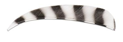 PLUMES - 4" PARABOLIC BARRED COLOR (TIGRÉE)