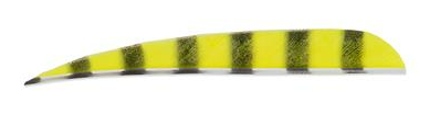 PLUMES - 5" PARABOLIC BARRED COLOR (TIGRÉE) – Image 7