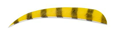 PLUMES - 5" PARABOLIC BARRED COLOR (TIGRÉE) – Image 2