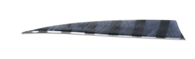 PLUMES - 4" SHIELD BARRED COLOR (TIGRÉE) – Image 9