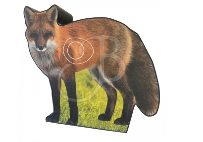 CIBLE 2D - PHOTO RENARD