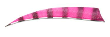 PLUMES - 4" SHIELD BARRED COLOR (TIGRÉE) – Image 6