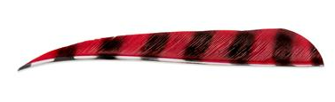 PLUMES - 5" PARABOLIC BARRED COLOR (TIGRÉE) – Image 10