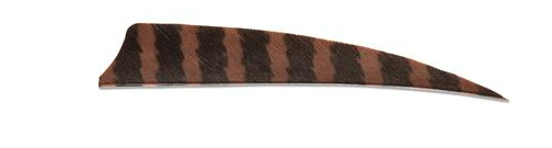 PLUMES - 4" SHIELD BARRED COLOR (TIGRÉE) – Image 6