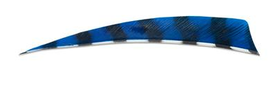 PLUMES - 4" SHIELD BARRED COLOR (TIGRÉE) – Image 11