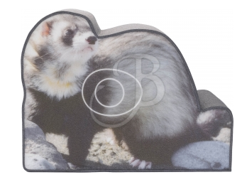 CIBLE 2D - PHOTO FURET