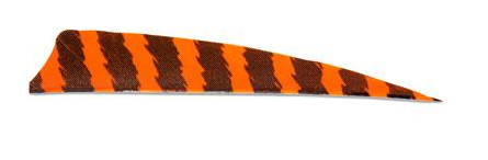 PLUMES - 4" SHIELD BARRED COLOR (TIGRÉE) – Image 4