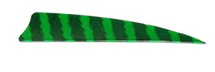 PLUMES - 4" SHIELD BARRED COLOR (TIGRÉE) – Image 12