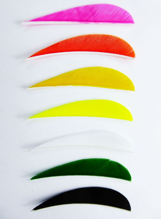 PLUMES - 4" PARABOLIC SOLID COLOR (UNIE)