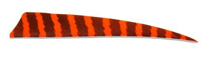 PLUMES - 5" SHIELD BARRED COLOR (TIGRÉE) – Image 8