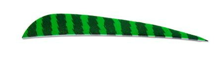 PLUMES - 5" PARABOLIC BARRED COLOR (TIGRÉE) – Image 10