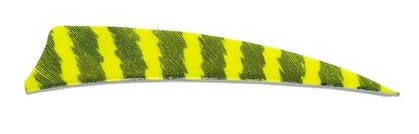 PLUMES - 4" SHIELD BARRED COLOR (TIGRÉE) – Image 7