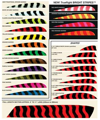 PLUMES - 4" PARABOLIC BARRED COLOR (TIGRÉE)