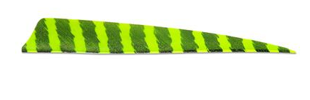 PLUMES - 5" SHIELD BARRED COLOR (TIGRÉE) – Image 4