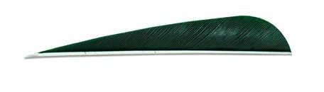 PLUMES - 4" PARABOLIC SOLID COLOR (UNIE) – Image 5