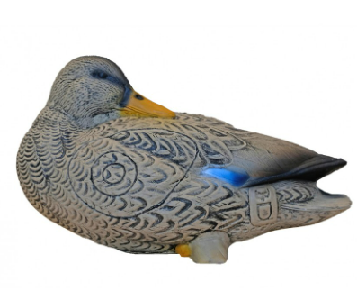 CIBLE 3D - CANARD