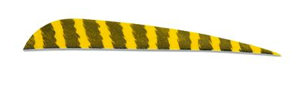 PLUMES - 5" PARABOLIC BARRED COLOR (TIGRÉE) – Image 6