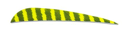 PLUMES - 5" PARABOLIC BARRED COLOR (TIGRÉE) – Image 12