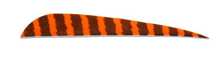 PLUMES - 5" PARABOLIC BARRED COLOR (TIGRÉE) – Image 5