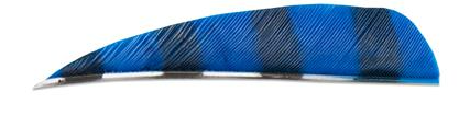 PLUMES - 3" PARABOLIC BARRED COLOR (TIGRÉE)