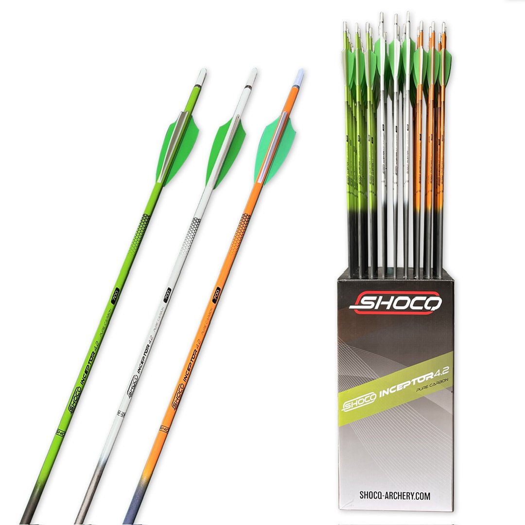 FLECHES - INCEPTOR 4.2 PLUMES PLASTIQUES – Image 3