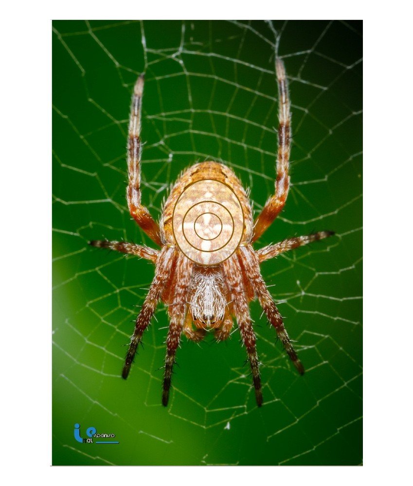 BLASONS - NATURE MOUSSE 2D