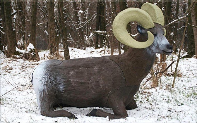 CIBLE 3D - MOUFLON CANADIEN ACCROUPI