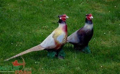 CIBLE 3D - FAISAN - WF10AP (PHEASANT)