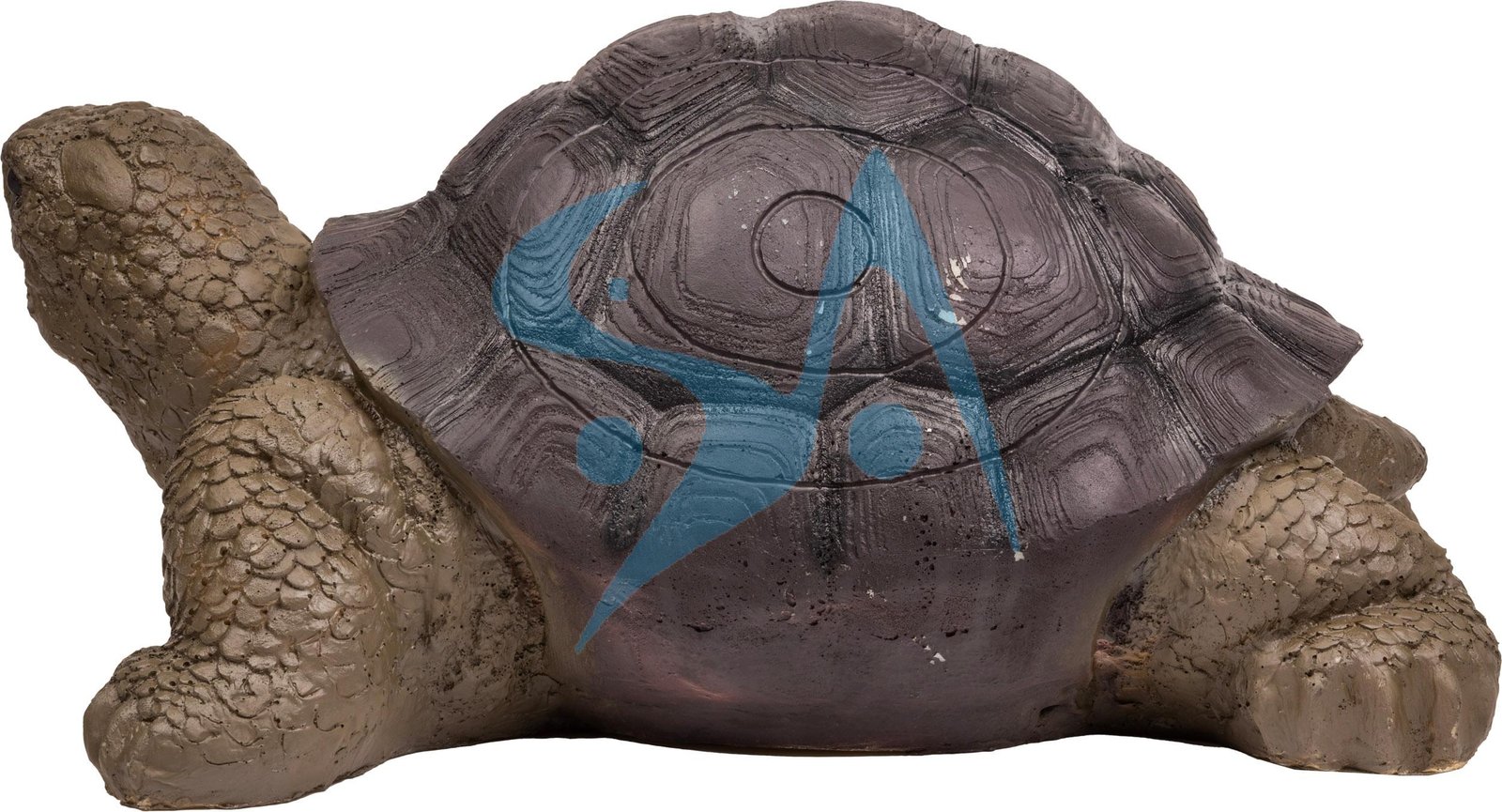 CIBLE 3D - TORTUE – Image 3