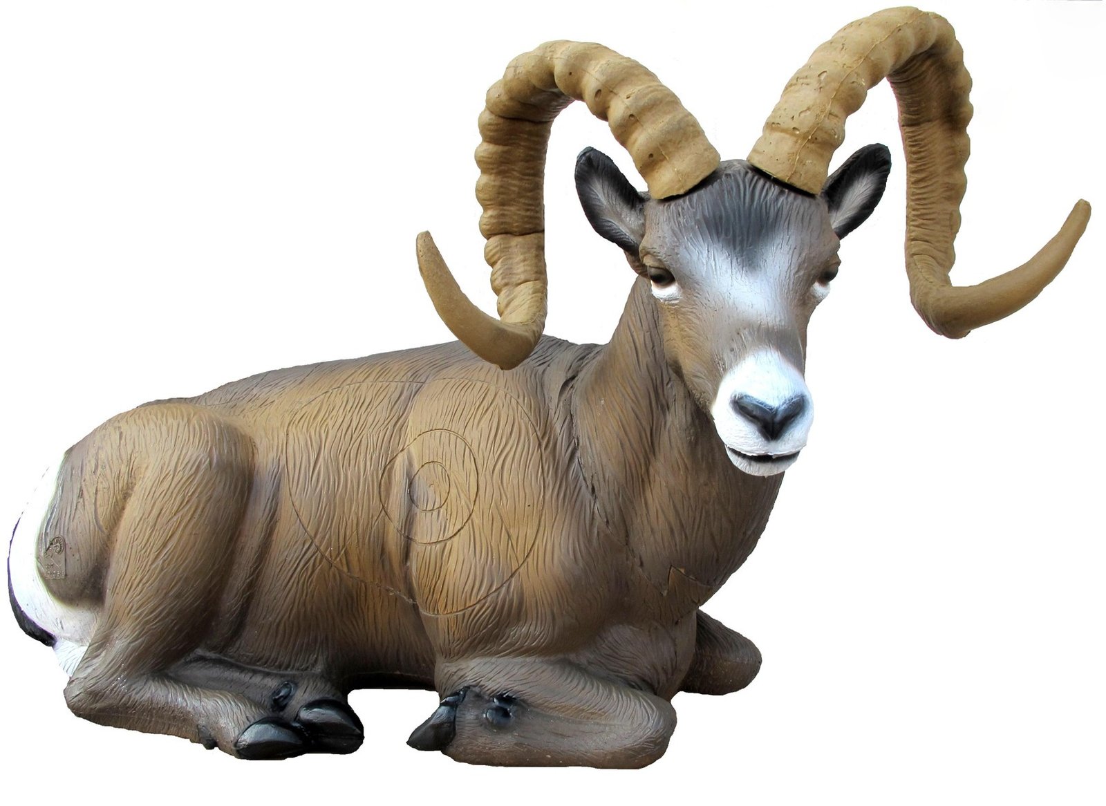 CIBLE 3D - ROCKY MOUNTAIN SHEEP COUCHE