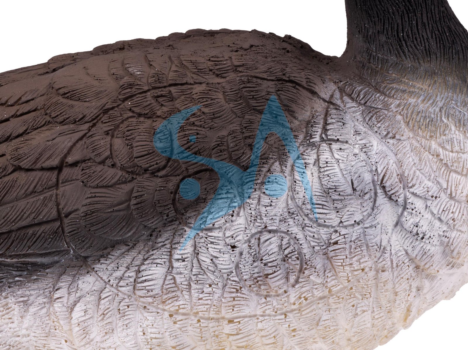 CIBLE 3D - OIE – Image 7