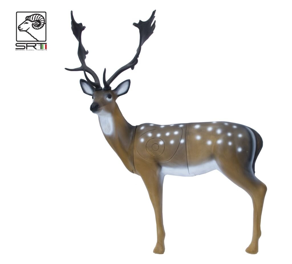 CIBLE 3D - FALLOW DEER