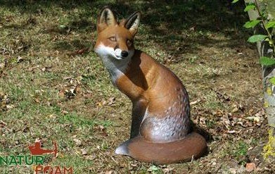 CIBLE 3D - RENARD ASSIS - WF14P (FOX SITTING)