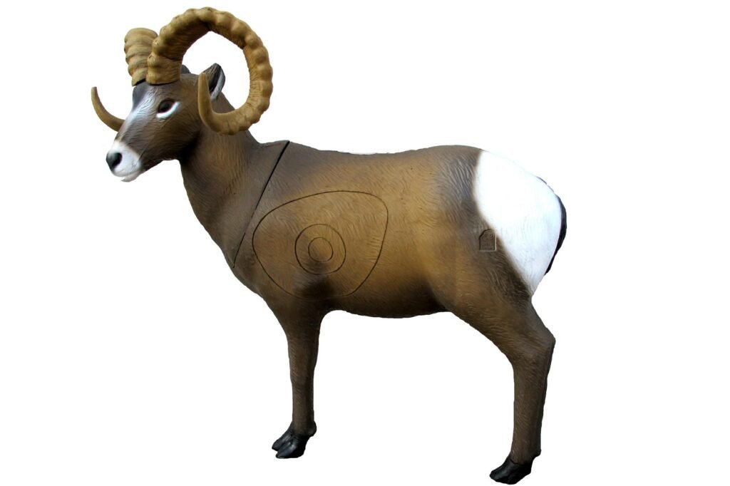 CIBLE 3D - ROCKY MOUNTAIN SHEEP