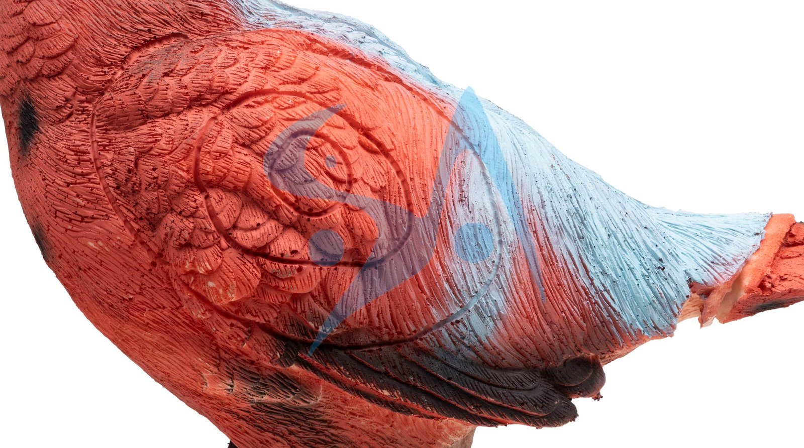 CIBLE 3D - FAISAN – Image 5