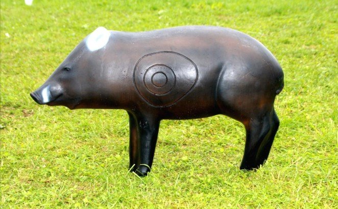 CIBLE 3D - PECARI