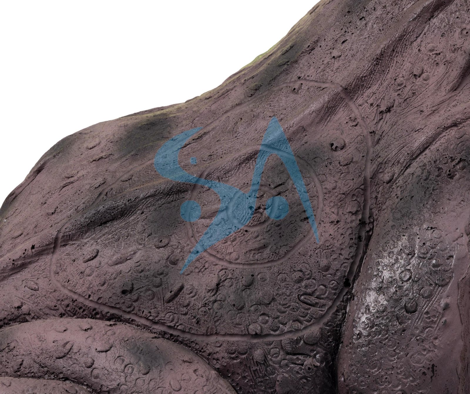 CIBLE 3D - GRENOUILLE – Image 7