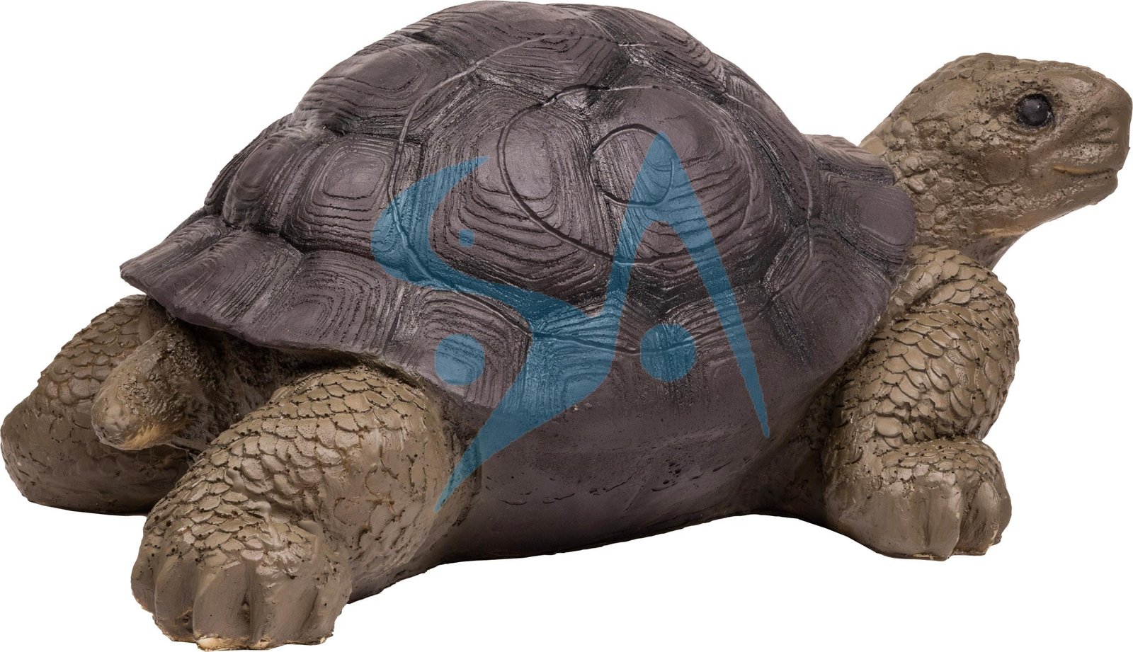 CIBLE 3D - TORTUE – Image 2