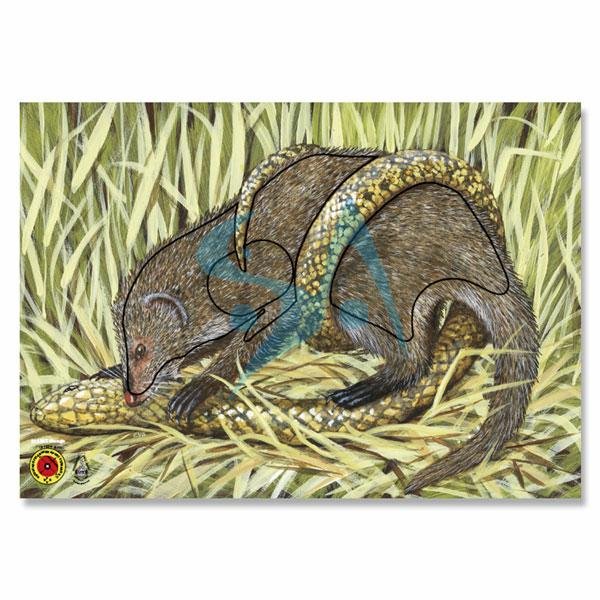 BLASON NATURE - ANIMAL GROUPE 4 – Image 3