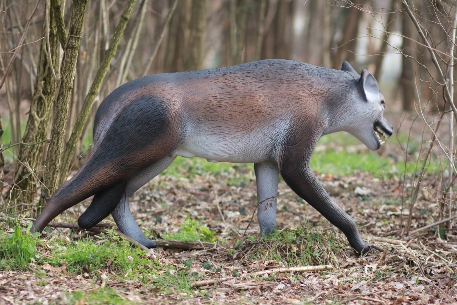 CIBLE 3D - LOUP