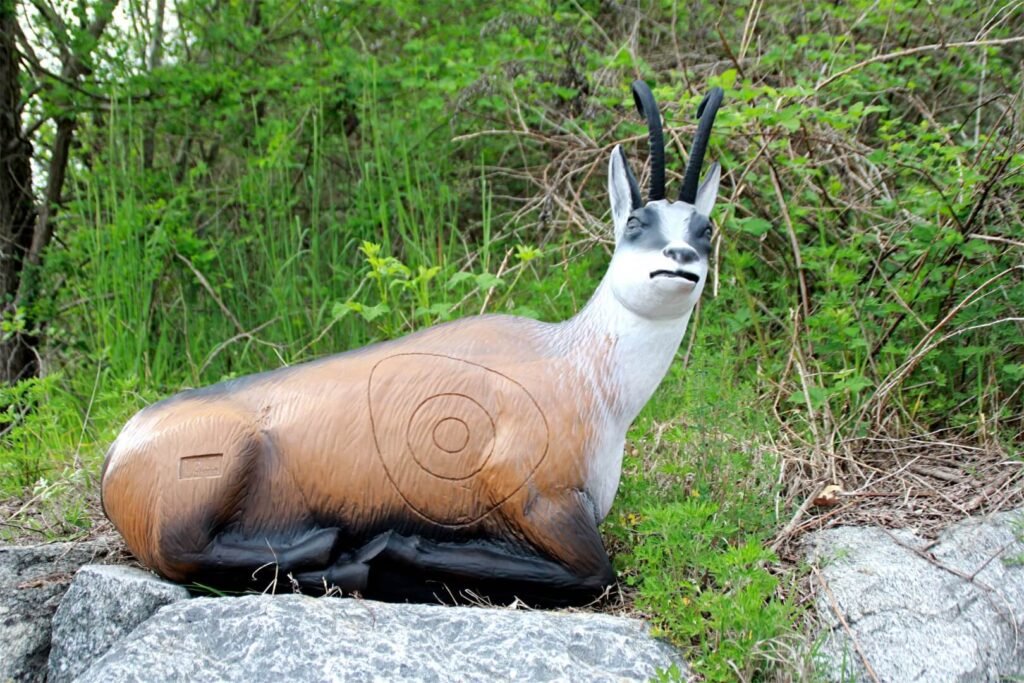 CIBLE 3D - CHAMOIS COUCHE