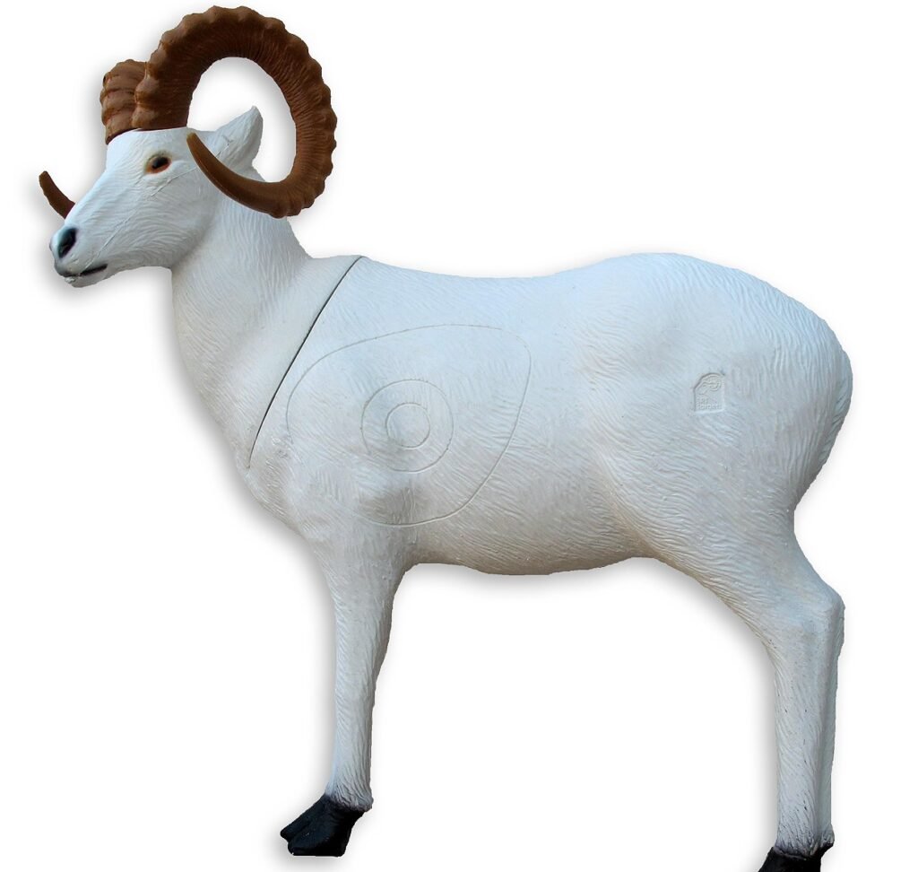CIBLE 3D - DALL SHEEP