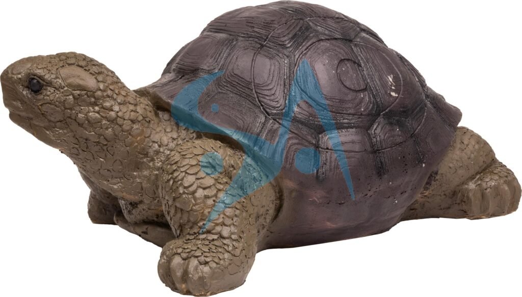 CIBLE 3D - TORTUE