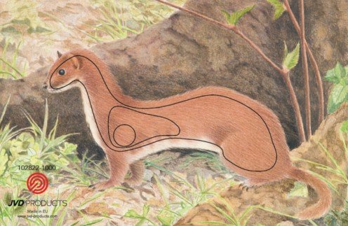 BLASON - NATURE FACE ANIMAL - IFAA – Image 3