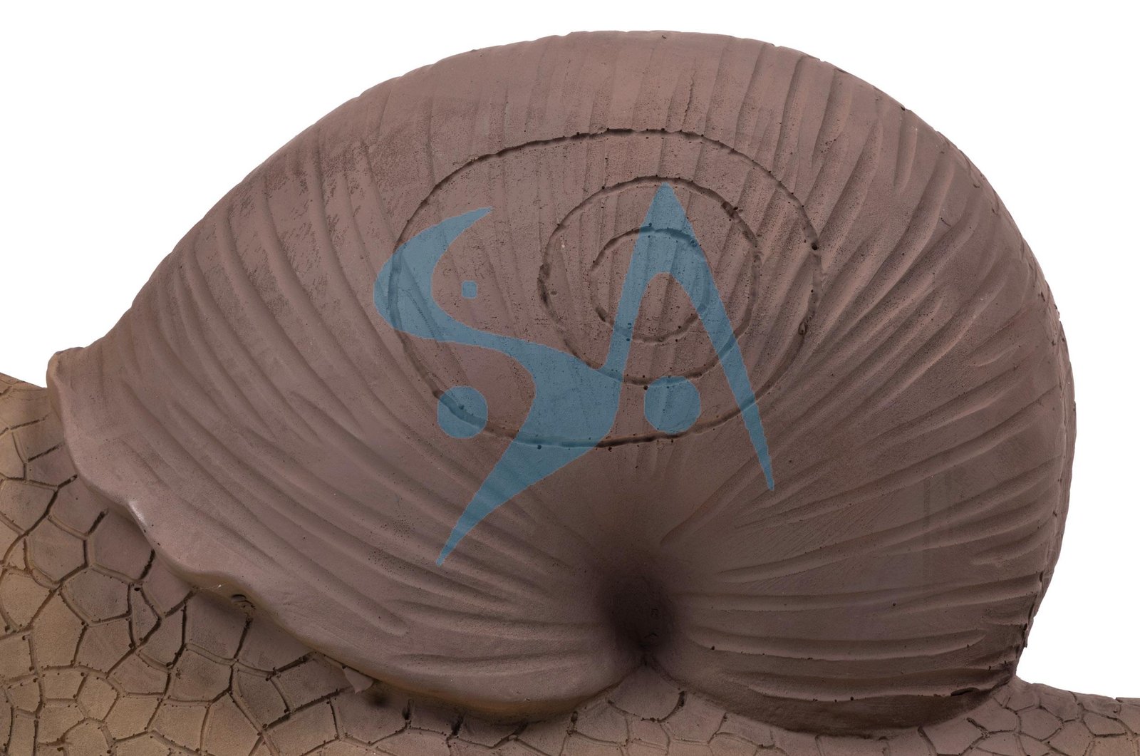 CIBLE 3D - ESCARGOT – Image 6