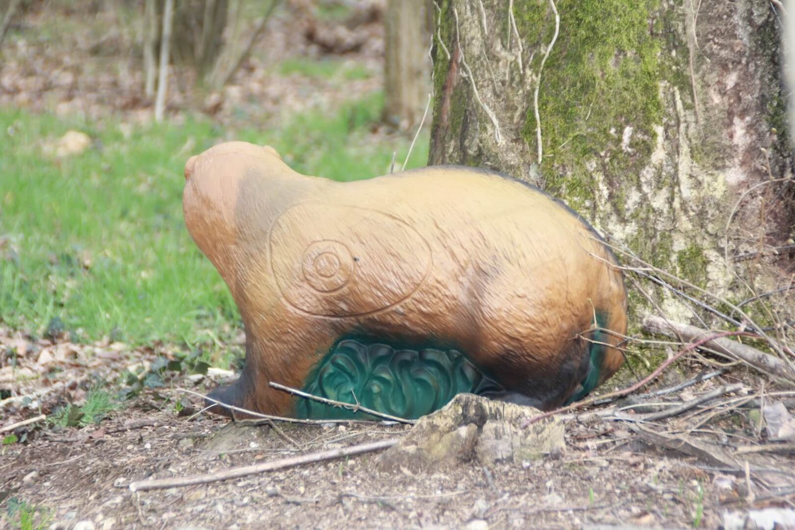 CIBLE 3D - MARMOTTE – Image 2